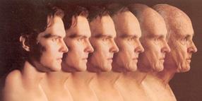 Successful Aging:  The Role of Communication