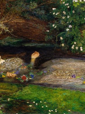 Understanding Borderline Personality Disorder: Clinical Insights and Everyday Applications