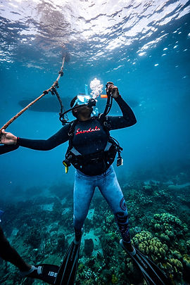 Travel Advisor Asset-Saint-Lucia-Scuba-PADI-Ascending-Using-Rope-Guide-2.jpg