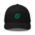 Thumbnail: ASPEN Leaf Trucker Cap
