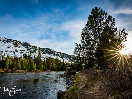Yellowstone