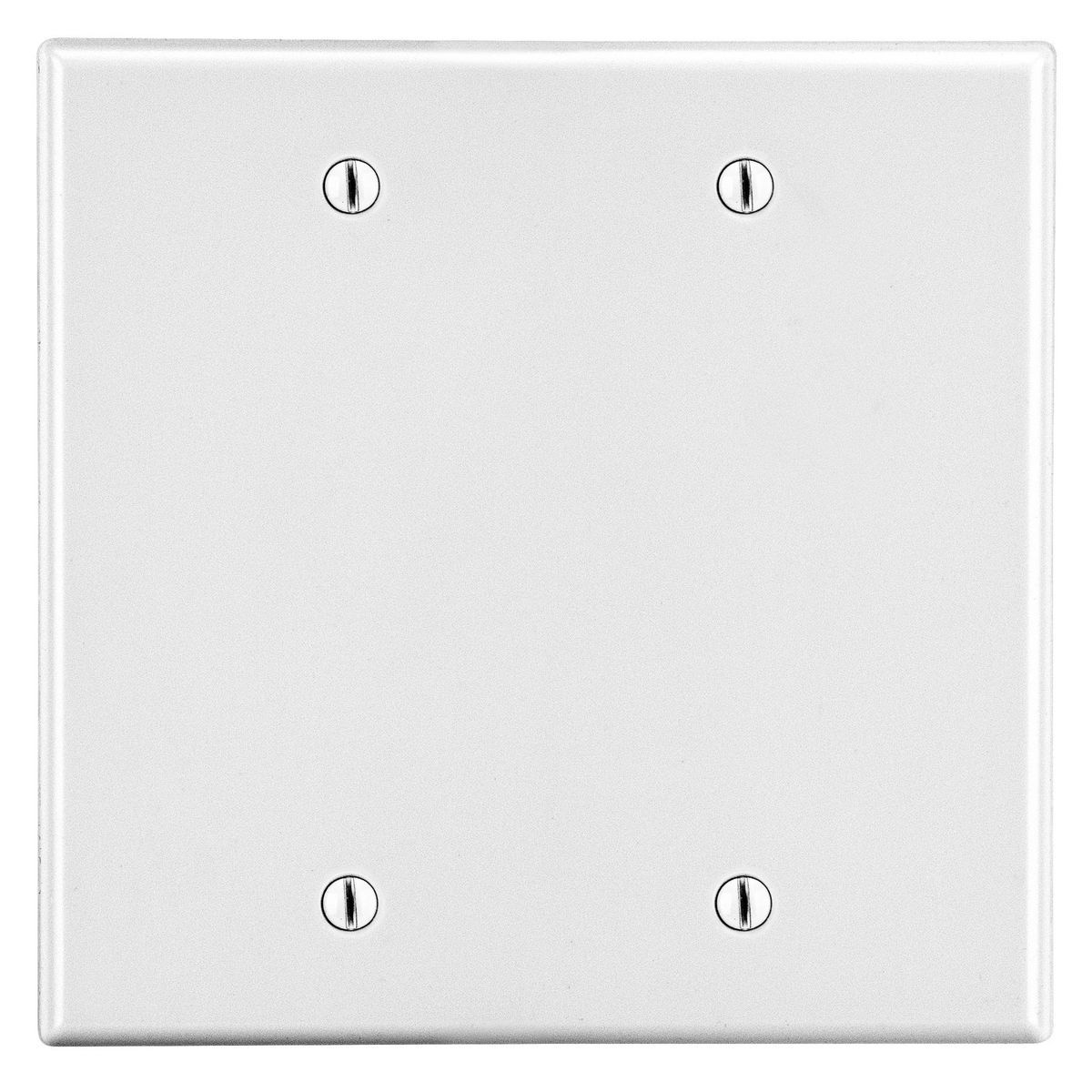 Wallplate, 2-Gang, 2 Box Mount Blank, White, Hubbell/Bryant - P23W