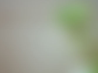 How to Make Your Home More Breath-Friendly