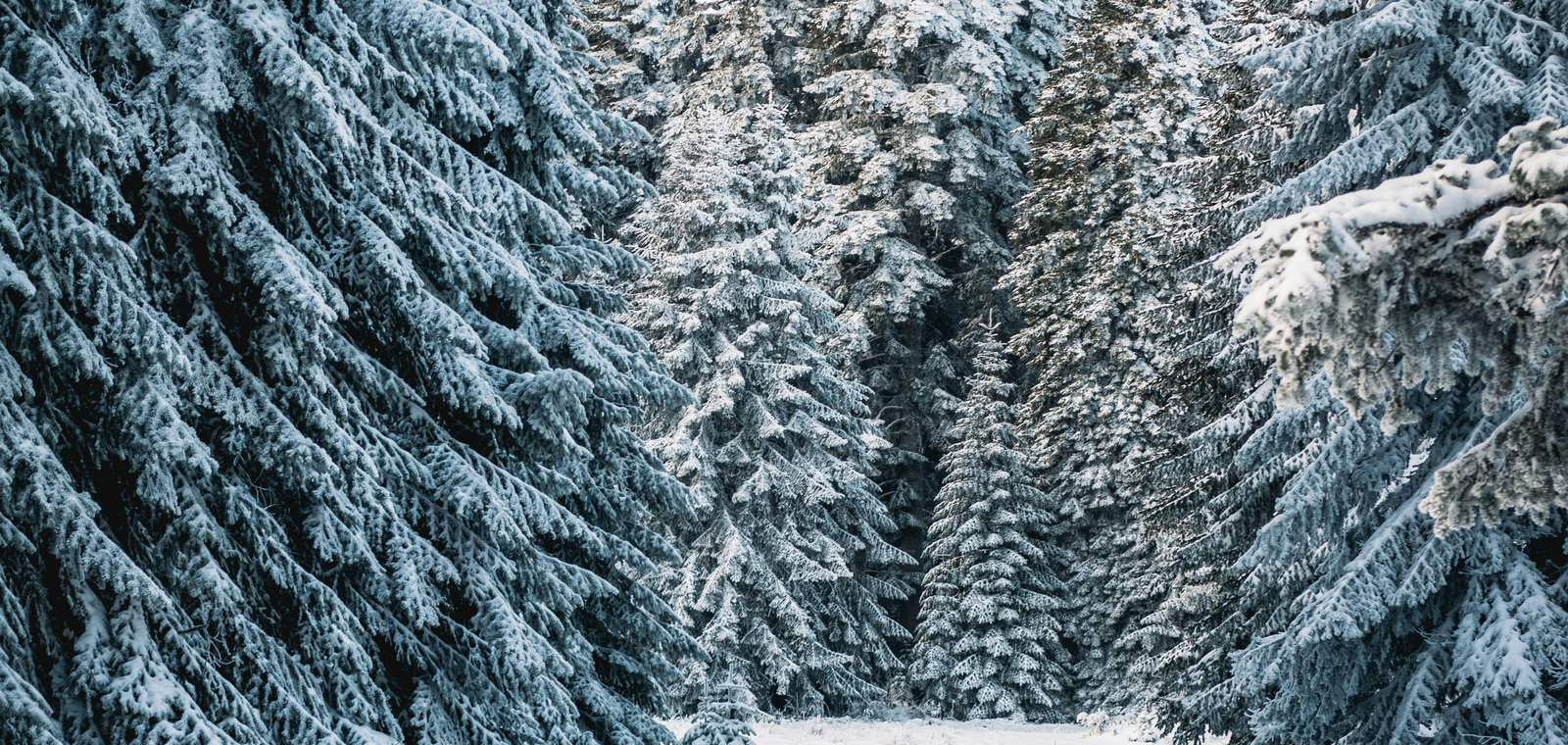 Self-Care For Winter Season