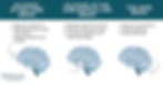 Chart on how alcoholism effects the Brain