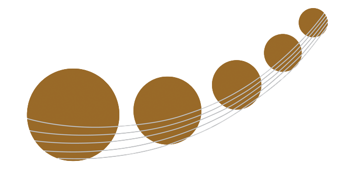 Manukau Symphony Orchestra logo