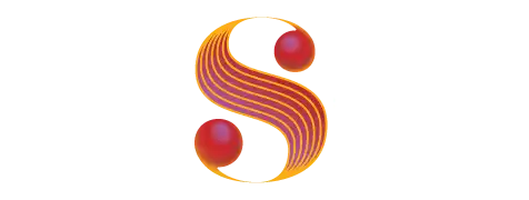 Dunedin Symphony Orchestra logo