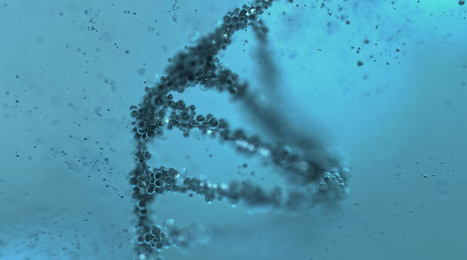 filming and editing services
