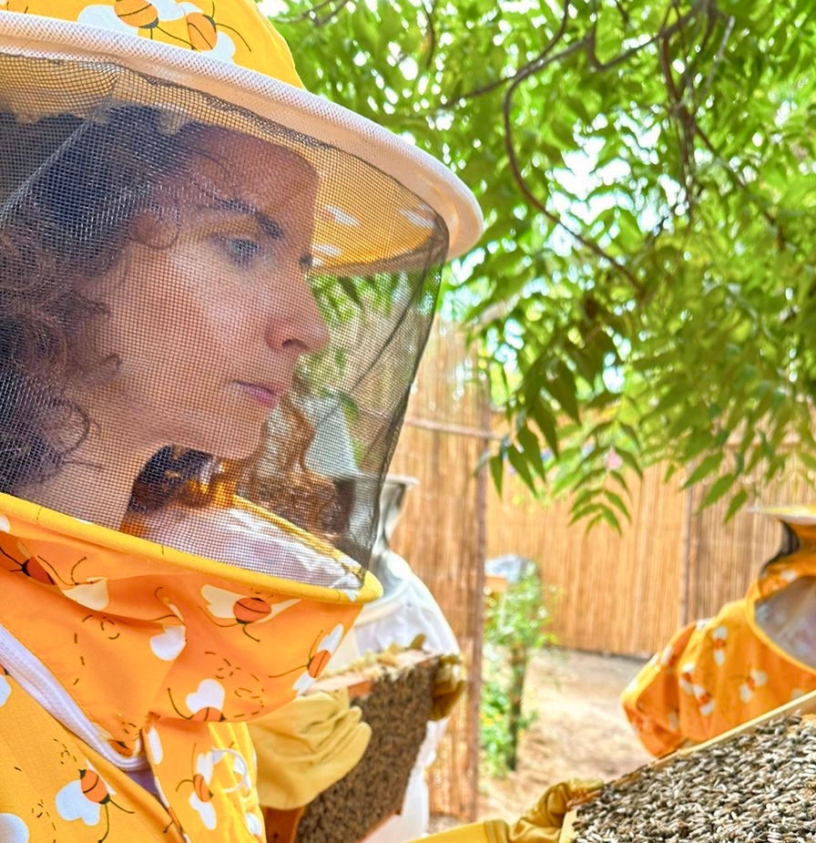 Bees, goddesses & drum: myths and history