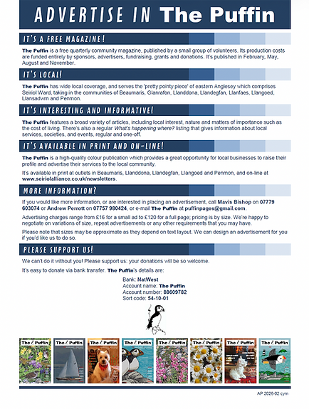 Puffin Advert 2026 ENG.png