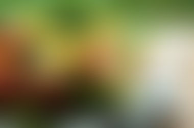 Inicie a refeição pela Salada.