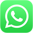 480px-WhatsApp_logo-color-vertical.svg.p