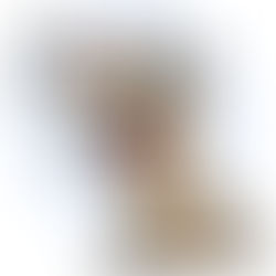 Eu, o Personal e um cachorro