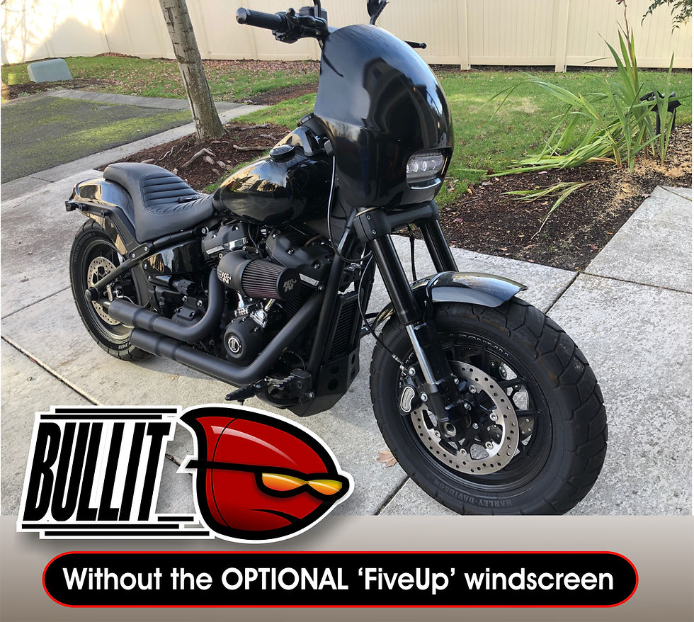 Thumbnail: DOUGZ M8 Fatbob 'Bullit' fairing