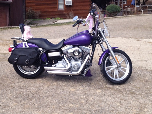 Harley Davidson 2005 Dyna Glide Harley Wide Davidson Fxdwg 1999