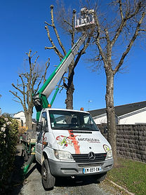 camion nacelle nicolleau elagage