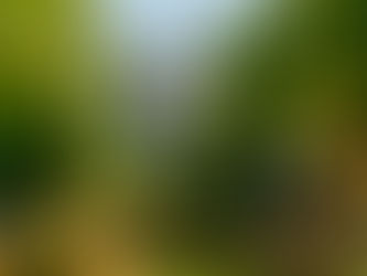 En ce moment dans les vignes...