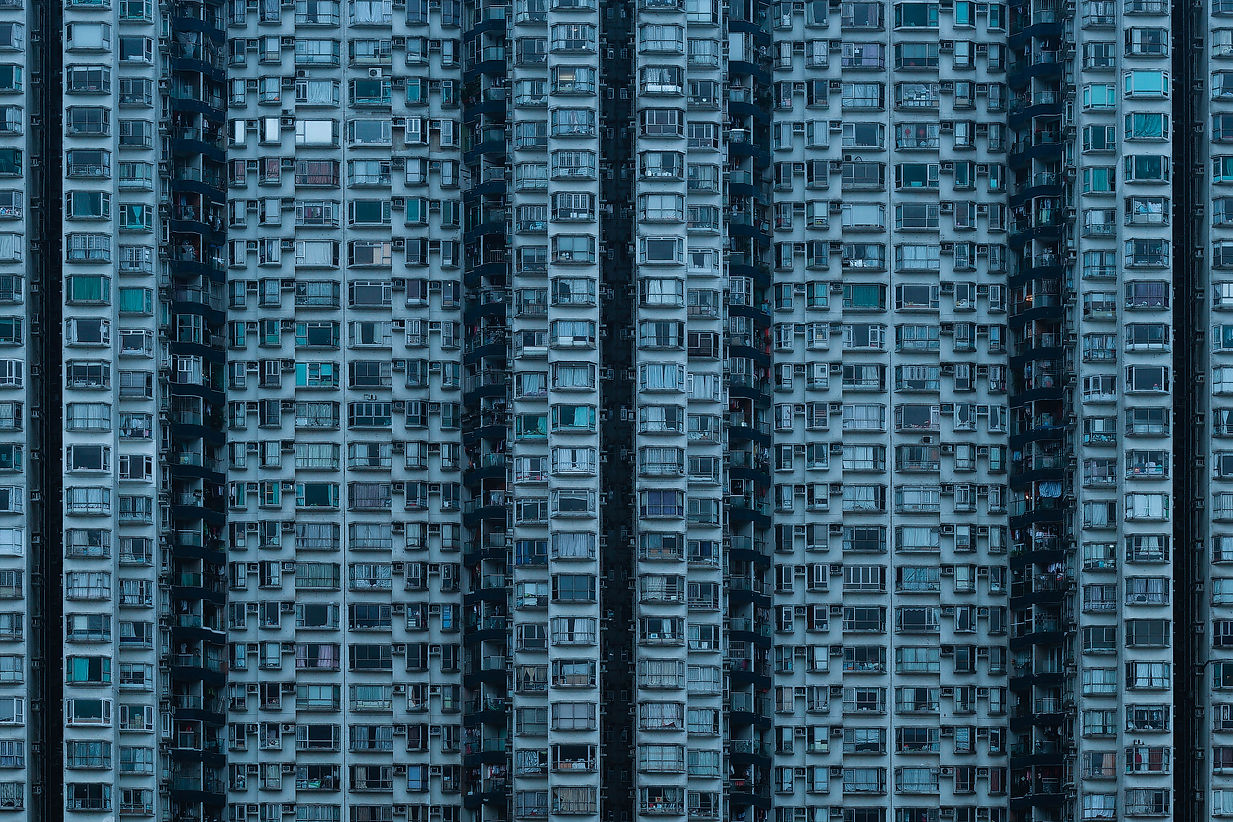 02建築の趨性+.jpg