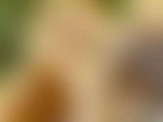 2026年4月度のスイーツ