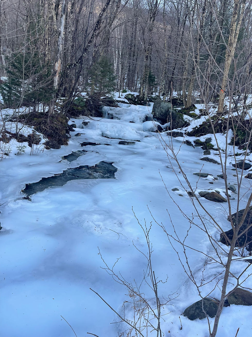 It's Coming...So They Say