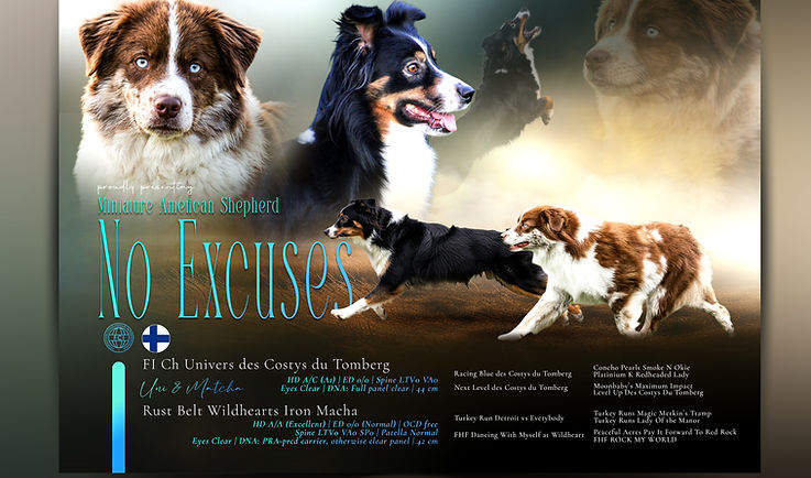 noexcusesgid09.jpg