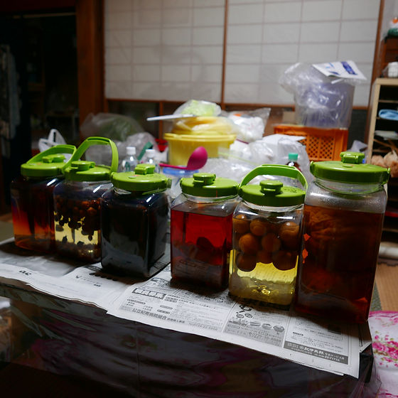P1060314.JPG