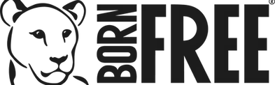 logo.webp