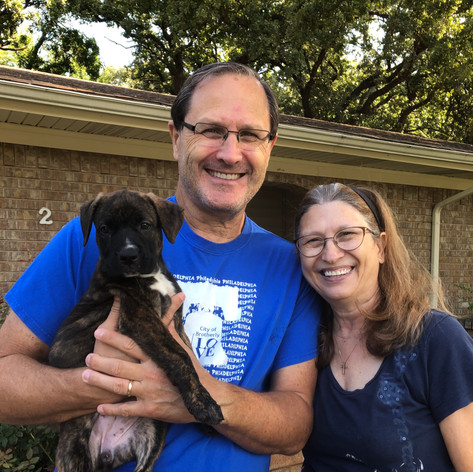 Ember | Adopted 9-19-20