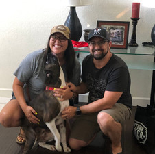Phoenix | Adopted 6-8-20