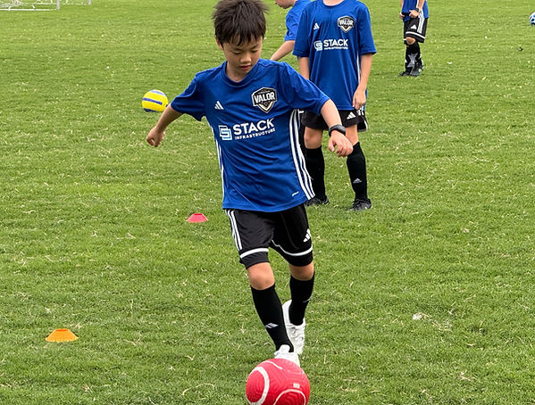 IMG_4431_edited.jpg