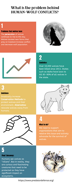 Orange Green Blue Colorful 5 Reasons To Use Informational infographic.png