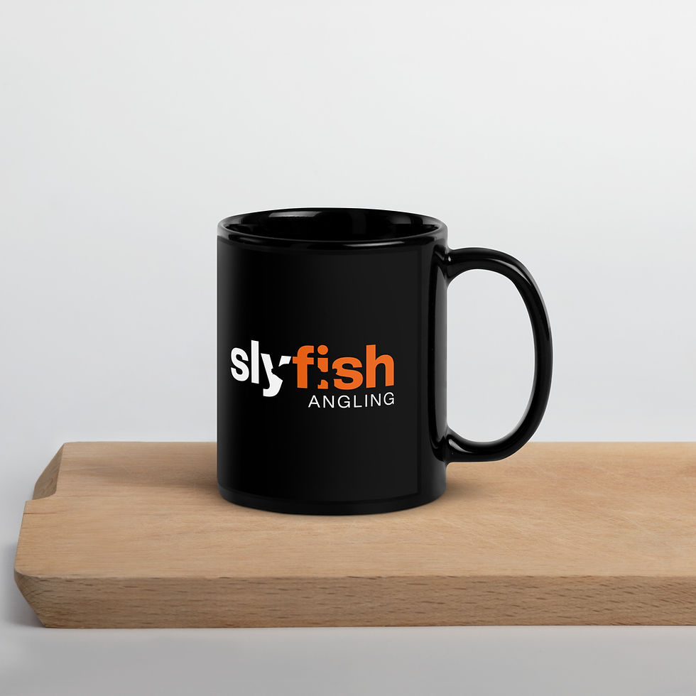 Thumbnail: Black Glossy Mug