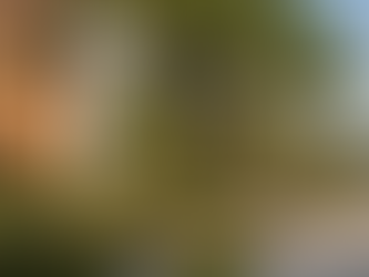 Sustainable Landscaping Trends in South Florida for Commercial Properties