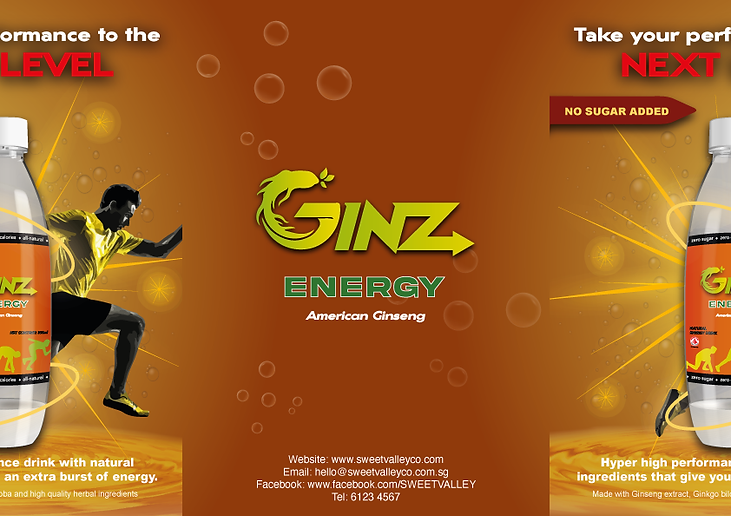 04---Promotional-Flyer-(outerside).png