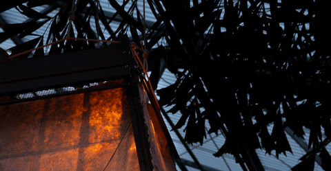 Photograph by Emily Congdon