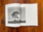 file_157d589dd3_original
