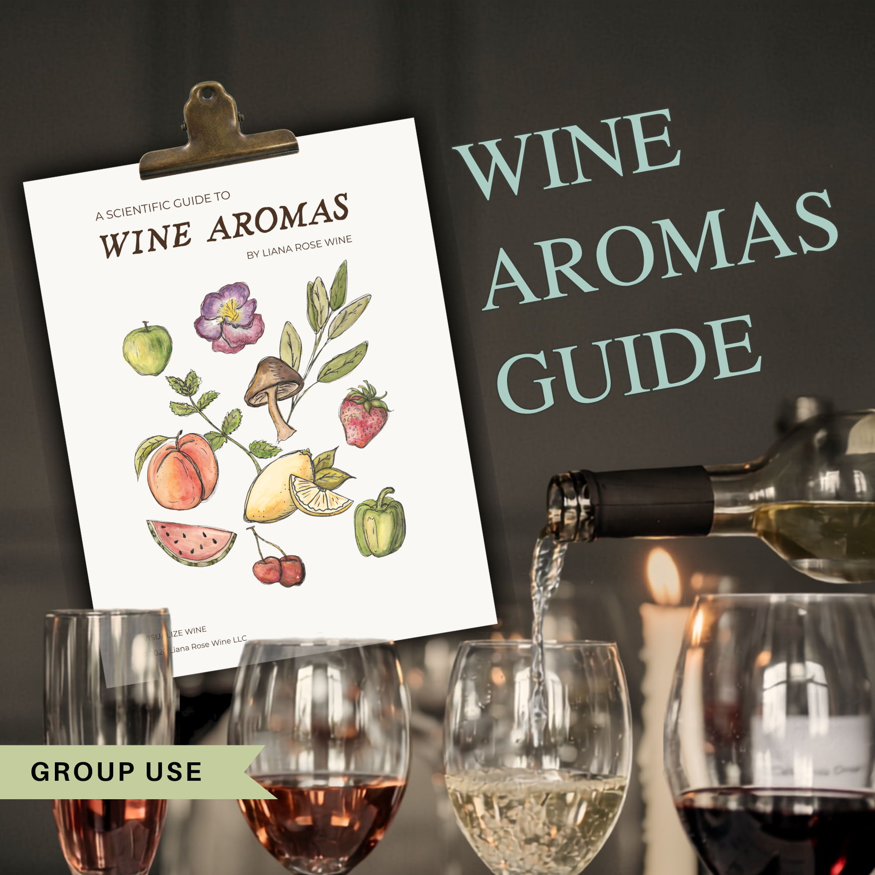 Wine Aromas: A Scientific Guide (Extended Use - up to 30 people)