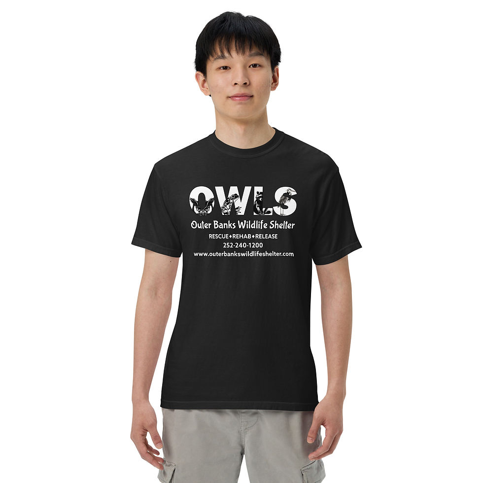 Thumbnail: OWLS Logo S/S