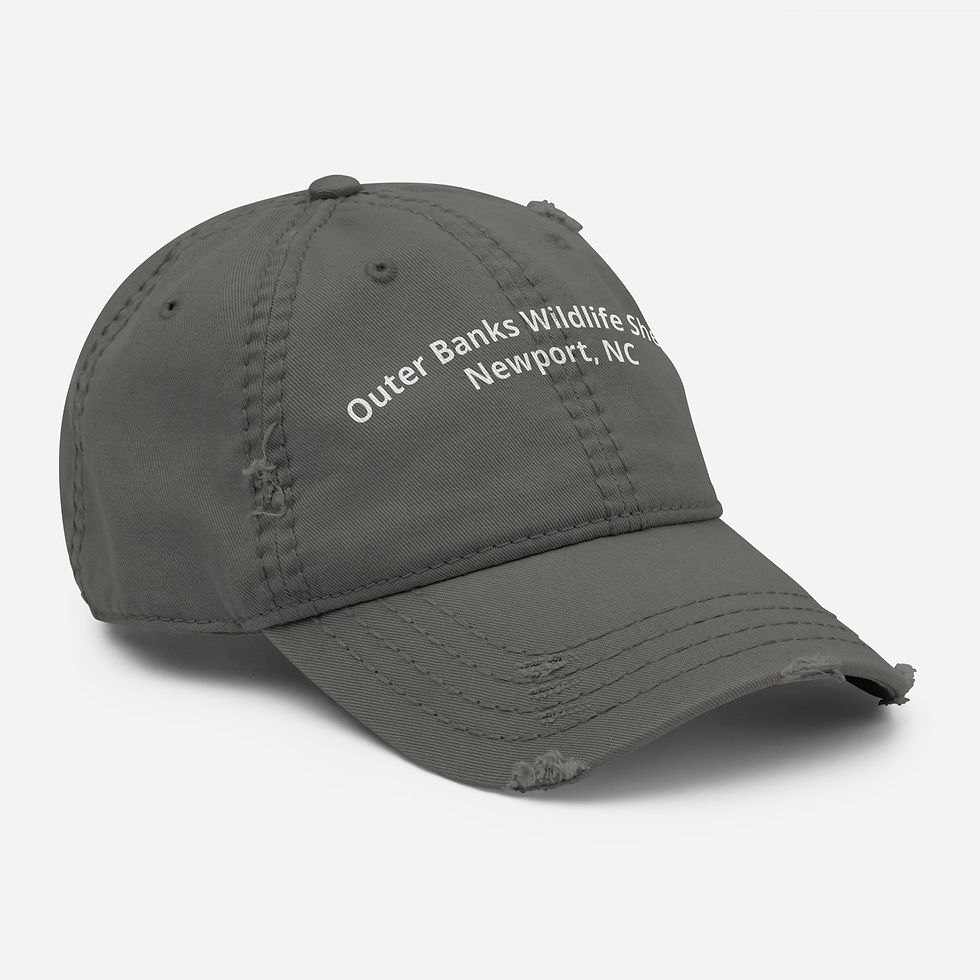 Thumbnail: OWLS Distressed Hat