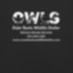 Thumbnail: OWLS Logo S/S