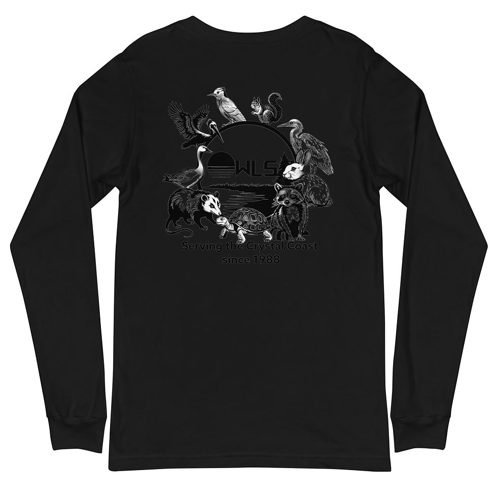 Thumbnail: OWLS Crystal Coast L/S