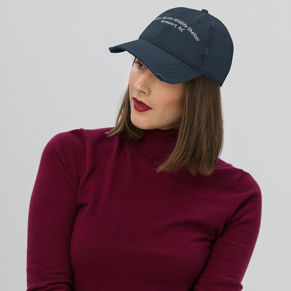 Thumbnail: OWLS Distressed Hat