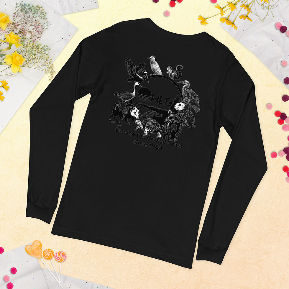 Thumbnail: OWLS Crystal Coast L/S