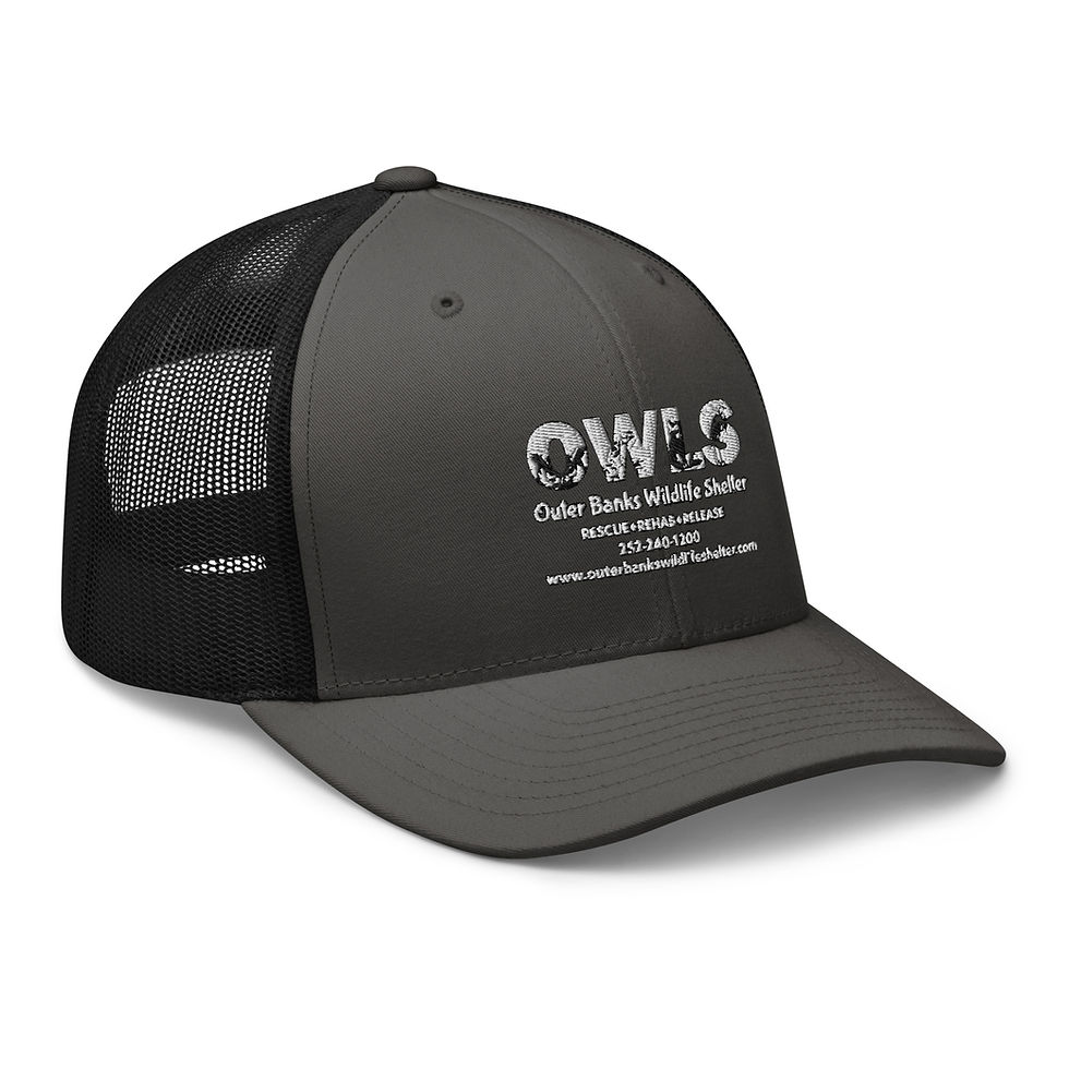 Thumbnail: OWLS Retro Trucker Hat