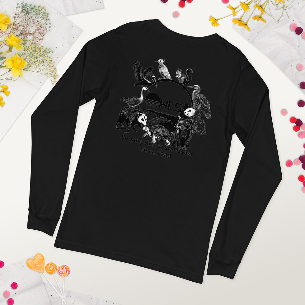 Thumbnail: OWLS Crystal Coast L/S