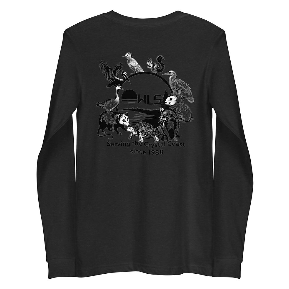 Thumbnail: OWLS Crystal Coast L/S
