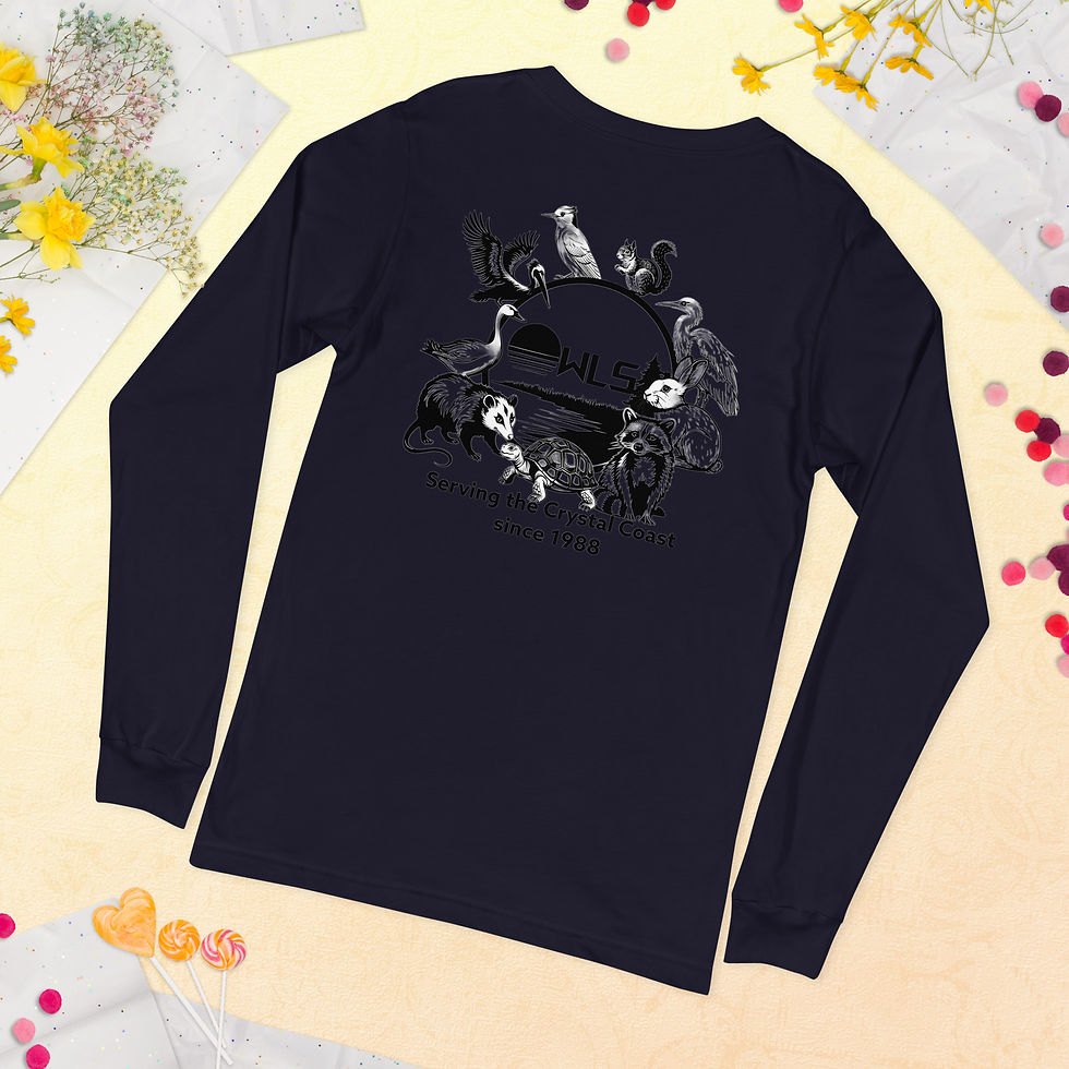 Thumbnail: OWLS Crystal Coast L/S
