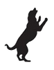 apgrooming_edited_edited.png