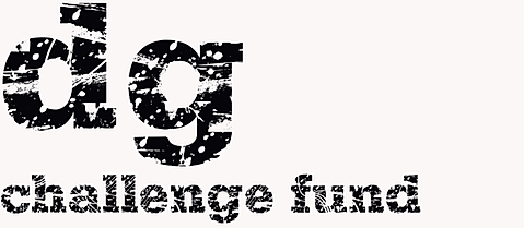dg challnege fund.png