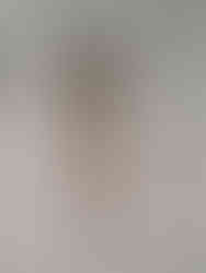 krzyż w katedrze oliwskiej